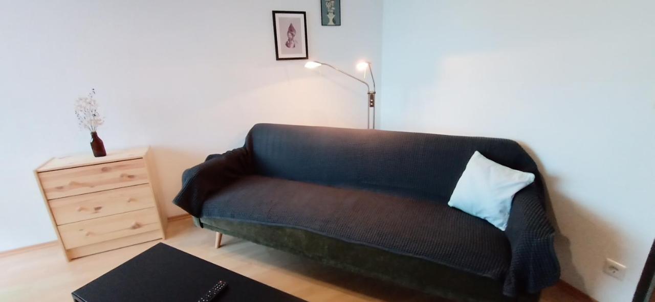 Bodensee Apartment Friedrichshafen Berg エクステリア 写真